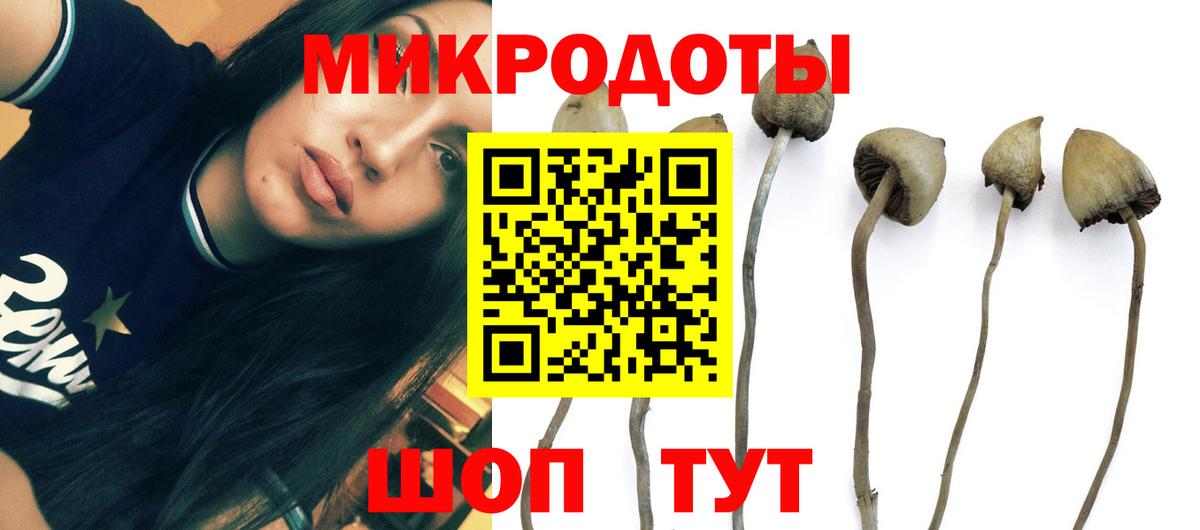 Галлюциногенные грибы мухоморы Абинск